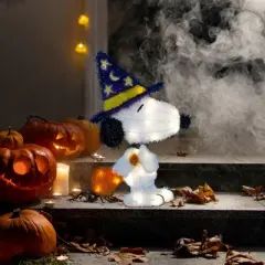 Peanuts 18in Peanuts LED PreLit Wizard Snoopy, White