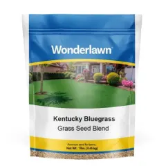 Barenbrug Wonderlawn Kentucky Bluegrass Full Sun Grass Seed 1 lb