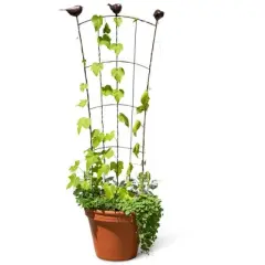 Gardener's Supply Company 'Flock of Friends' Garden & Container Pot Trellis | Sturdy Steel Frame for Climbing Vining Plants & Flowers - 48" High