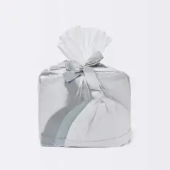  Baby Boys' 16pk Layette Gifting Bundle - Cloud Island&trade; Blue