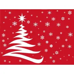 Signature Cards Holiday Greeting Card Box Set of 25 Cards & 26 Envelopes - NF100