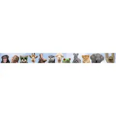 Teacher Created Resources&reg; Go Wild Animals Straight Border Trim, 35 Feet Per Pack, 6 Packs