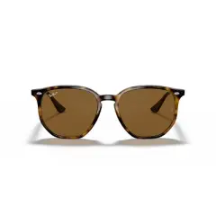 Ray-Ban RB4306 54mm Unisex Irregular Sunglasses Polarized