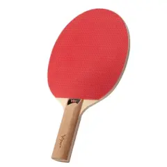 Viper Table Tennis Racket with 24 Table Tennis Balls
