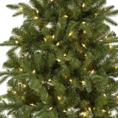 National Tree Company Pacific Mixed Pine 7.5-ft. Pre-Lit Artificial Christmas Tree