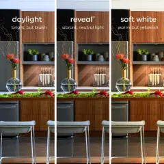 GE 2pk 75W A21 Reveal Light Bulbs