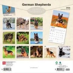 BrownTrout German Shepherds 2026 12"x24" Hanging Square Wall Calendar Plastic-Free