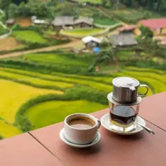 Kaya Kopi Premium Lam Dong From Bao Loc Region, Lam Dong, Vietnam - Energy Robusta Roasted Whole Coffee Beans, 12 Ounce