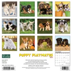 Willow Creek Press 2024 Wall Calendar 12"x12" Puppy Playmates