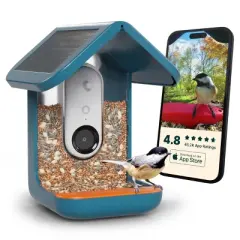 Bird Buddy Smart Bird Feeder with Camera and Solar Roof: Weather-Resistant, Hanging or Pole Mount