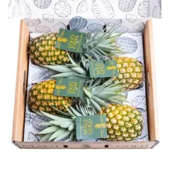Freshly Picked Maui Gold Pineapples - 4ct