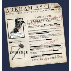 Men's Batman Harley Quinn Arkham Asylum Form T-Shirt