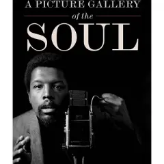 A Picture Gallery of the Soul - by  Howard Oransky (Hardcover)