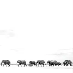 Dave Matthews - Where Are You Going: The Singles (Vinyl)