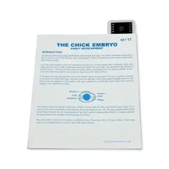 Supertek&reg; Microslide, The Chick Embryo, 35mm