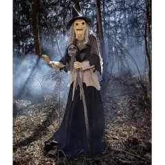 Halloween Express  Lunging Witch With Digital Eyes Halloween Decoration - Size 72 in - Black
