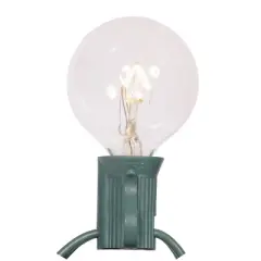 Vickerman Light Clear G40 Twinkle Christmas Light set