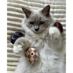 Haute Diggity Kitty by Haute Diggity Dog KV Balls (Checker) Crinkle Cat Toy with Catnip