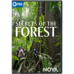 NOVA: Secrets of the Forest (DVD)
