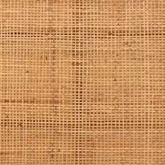 bali & pari Queen Size Caspia Rattan and Mahogany Wood Headboard Light Honey/Red Teak