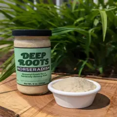 Northlight 3ct Super Hot Pure Fresh Horseradish 8 oz. each