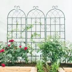 Lirago 2 Pack Metal Garden Trellis Rustproof Climbing Plant Support for Outdoor Flowers Vines Vegetables Black Powder Coated 71"H x 19.7"W x 1"D