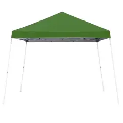 Z Shade 10x10 Foot Angled Leg Instant Shade Canopy Tent Portable Shelter, Green & Durable Plastic 5 Pound Canopy Tent Leg Weight Plates, Set of 4