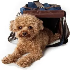 Pet Life Fashion Canvas Pet Carrier Blue-M