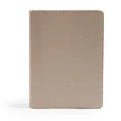 CSB She Reads Truth Bible, Champagne Gold Leathertouch - by  Raechel Myers & Amanda Bible Williams & Csb Bibles by Holman (Hardcover)