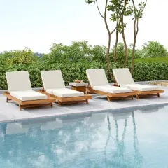 Christopher Knight Home Dawn Patio Rustic Acacia Wood Adjustable Chaise Lounge with Water-Resistant Cushions (Set of 4)