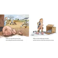 Charlotte's Web Board Book - by E. B. White (Board Book)