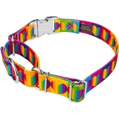 Country Brook Petz Rainbow Hearts Martingale with Premium Buckle Dog Collar (5/8 Inch, Extra Small)