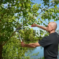 FELCO 211-60, 24 in. All Around Lopper for Landscape/Garden, I-Beam Handle, Ultra Light