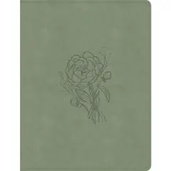 KJV Notetaking Bible, Large Print Edition, Sage Suedesoft Leathertouch - by  Holman Bible Publishers (Leather Bound)