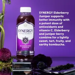 GT&rsquo;s Synergy Elderberry Juniper Organic Raw Kombucha &ndash; 16 fl oz
