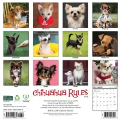 Willow Creek Press 2026 Chihuahua Rules Wall Calendar