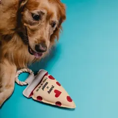 Pavilion Gift Company - Pizza My Heart - 13" Canvas Dog Toy on Rope - Pet Toy
