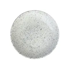 Terrazzo 10" Dinner Plate