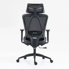 Sapphtopaz 26" Ergonomic Office Chair with Adjustable Armrests, Tilt Back Chair with Headrest and Lumbar Support, Swivel Gaming Chair for Office