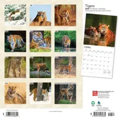 Browntrout 2024 Wall Calendar 12"x12" Tigers
