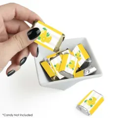 Big Dot of Happiness So Fresh - Lemon - Mini Candy Bar Wrapper Stickers - Citrus Lemonade Party Small Favors - 40 Count