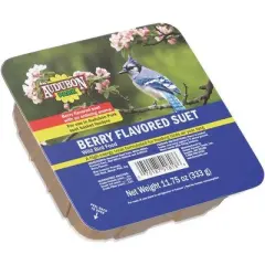 Audubon Park 11.75 Oz. Berry Suet