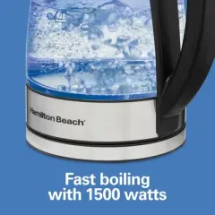 Hamilton Beach 1.7L Glass Variable Temp Kettle 40941R: Electric Tea Maker, 1500W, Hand Wash, Silver, Plastic Handle & Lid