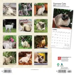 Browntrout 2024 Wall Calendar 12"x12" Siamese Cats