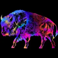 Junior's Design By Humans Rainbow Buffalo By ZeichenbloQ T-Shirt