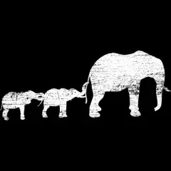 Junior's Design By Humans Animal Lover Gift Africa Safari Animals Family Elephant By lenxeemyeu T-Shirt