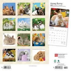 Browntrout 2024 Wall Calendar 12"x12" Honey Bunny