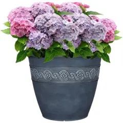Classic Home and Garden Indoor/Outdoor Round Corinthian Resin Flower Pot Planter