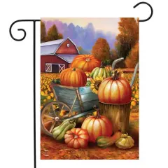 Briarwood Lane Garden Flag 12x18 For Outdoor Pumpkin Farm Fall For Fall Garden Flag Flags For Outside
