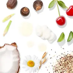 Tree To Tub Exfoliating Body Wash + Cocoa & Shea Butter Lotion Set